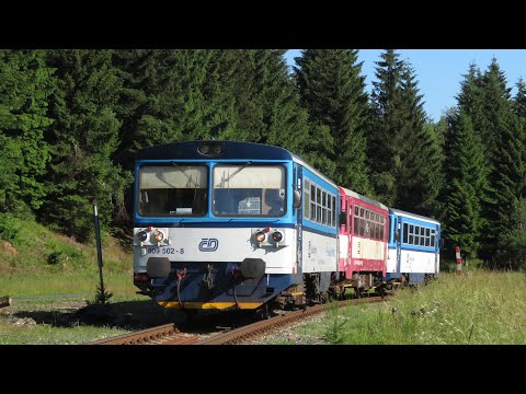 Vlaky na Moldavské Dráze v létě!