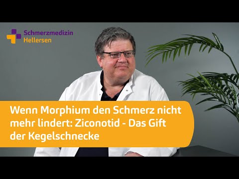 Wenn Morphium den Schmerz nicht mehr lindert: Ziconotid - Das Gift der Kegelschnecke