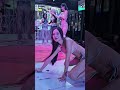 Thai Sexy Beauty Bikini Dance