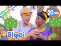 Sing Along For The Planet Blippi Songs 30 MINS Healthy Habits For Kids
