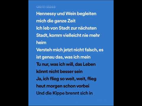 9 bis 9 - Sped up (Shirli version)