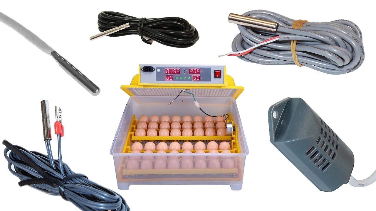 Датчик на яйцо в инкубаторе. Нагревательный элемент для инкубатора Egg 48. Датчик уровня влажности для инкубатора. Нагреватель воды для инкубатора. Лучший нагреватель для инкубатора.