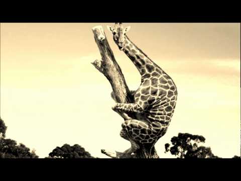 Andhim - Afrikadelle (Original Mix) (HQ)