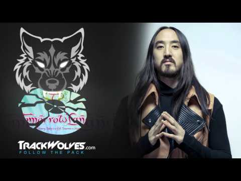Steve Aoki - Live @ Tomorrowland 2013 (Belgium) - 28.07.2013