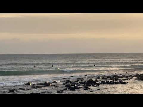 Tappa's Surf Report 27/1/26