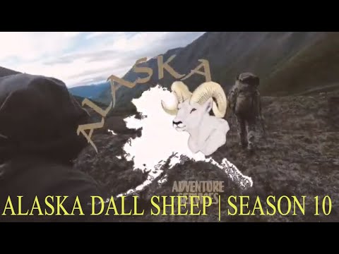 ALASKA DALL SHEEP | Season 10 | Part 1 | THE HUNTERS HUNTING