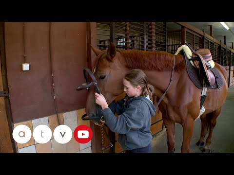 HAZAHÚZÓ – Kiskunhalas látnivalói 2. rész