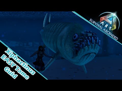 XIPHACTINUS - TAME GUIDE  UND TRAP 2025 - ALLES was du wissen musst | Ark Survival Ascended