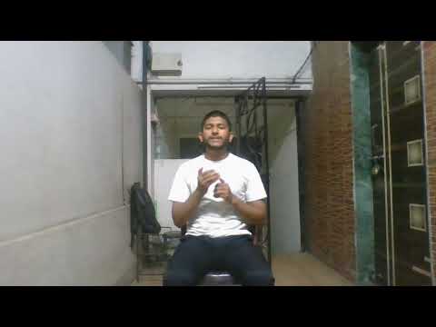 Dogs as man's best friend 21/02/2024