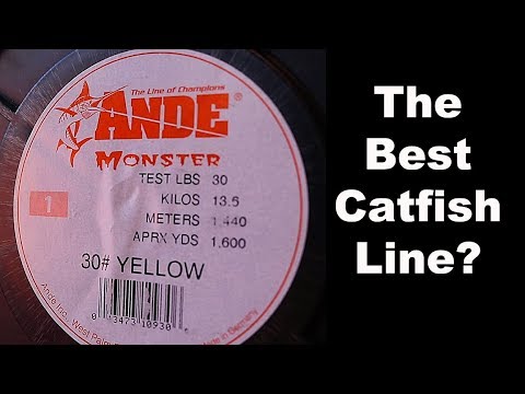 Best Catfish Line