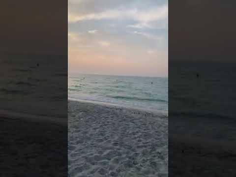 #beach #🏖️ العاصمه الجميله🇦🇪#أبوظبي