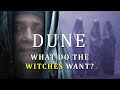 Dune: Motivation of The Bene Gesserit Explained in FIVE Minutes