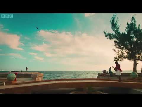 Leroy Sibbles & Tamlins - Equal Rights