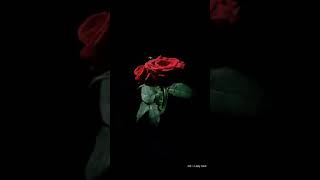 Download lagu story' wa Superman is dead ~ Lady rose !!! mp3