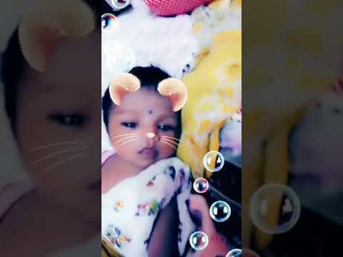 Have you ever seen a cute cat like me😃😃😃😃😃🥰🥰🥰#mihikasmagicalworld❤