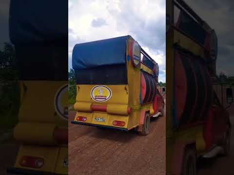 floresta do Araguaia