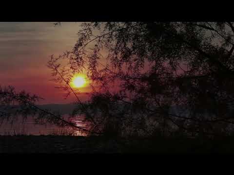 Ellinoora, Juha Tapio - Hiljaisii heeroksii (acoustic cover by Trubaduuri Pasi)