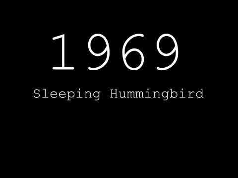 Sleeping Hummingbird - 1969 / All u need is love(69)