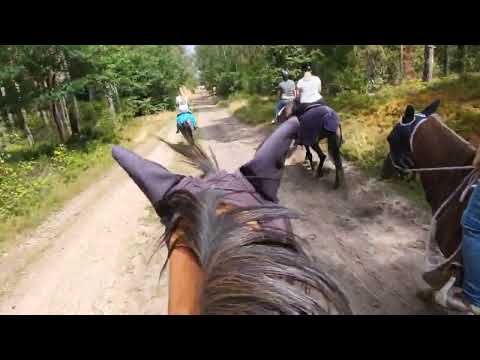 Ausritt am 24.07.22 es wird lila.