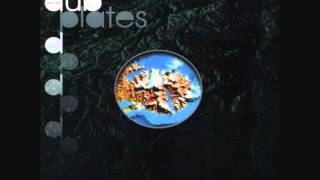 Salmonella Dub - Push On Through (HQ)