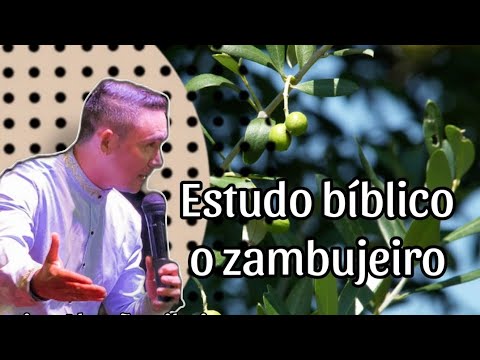 ESTUDO BÍBLICO O ZAMBUJEIRO