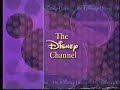 The Disney Channel Id 1997