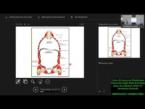 01 - ANATOMIA GENERALE