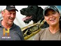 Hunting Dogs Track Down Snakes Swamp People Serpent Invasion S5