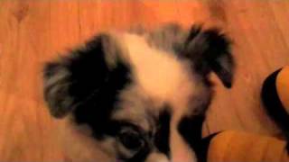 Get Busy With The Fizzy