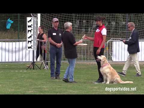 Selection - Monika Krella + Easter Blue Sky Narnia Baltica / Golden Retriever