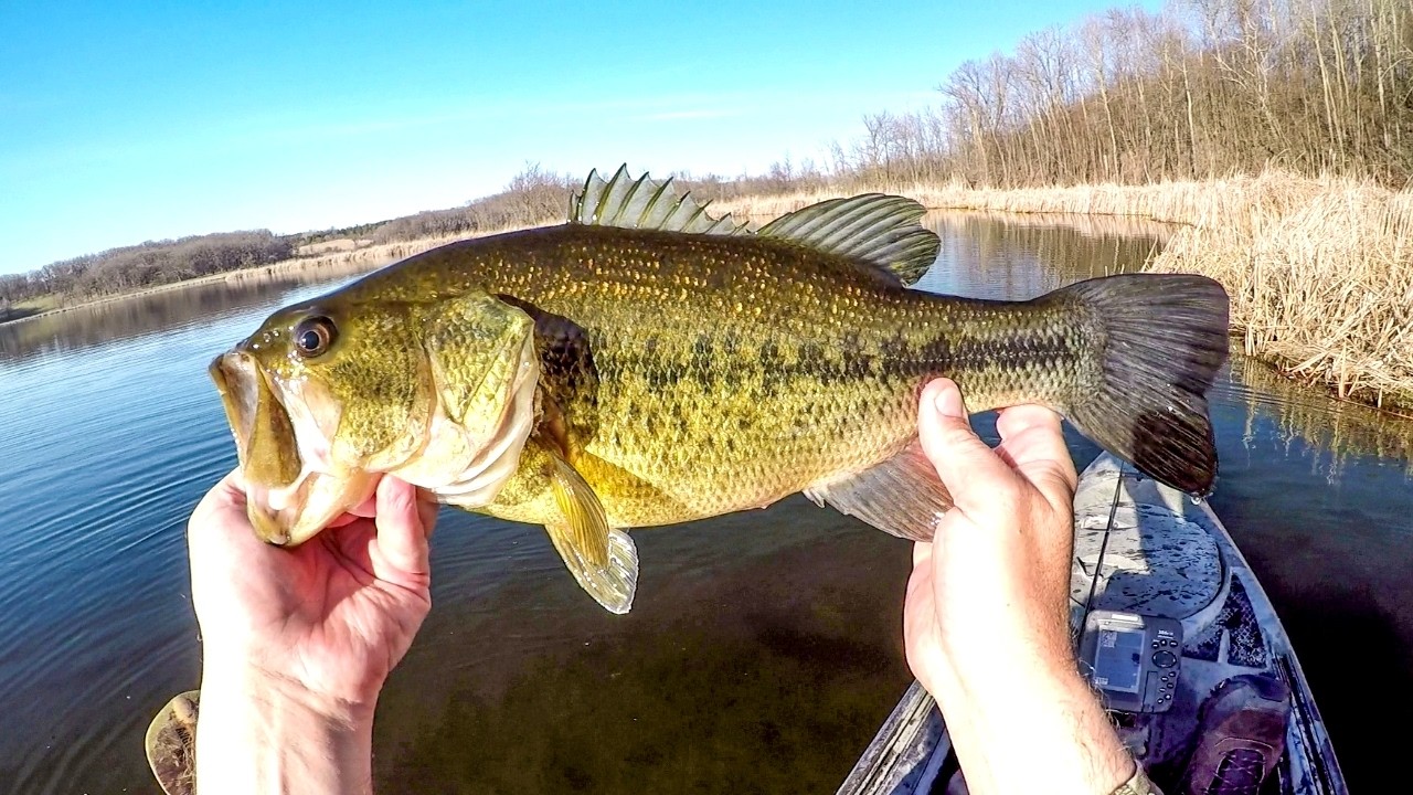 Fishing For Spring Time Bass!