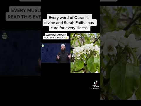 Surah Fatiha has cure for every illness #quran #fatiha #surah #illness