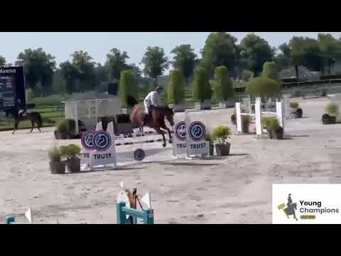 show video