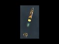 Project Orion Nuclear Pulse Rocket