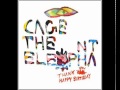 Cage the Elephant- Right Before My Eyes (Lyrics)