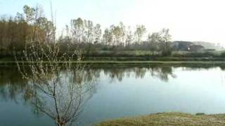 preview picture of video 'Il laghetto Bosco dei roveri di Verolengo (TO)'