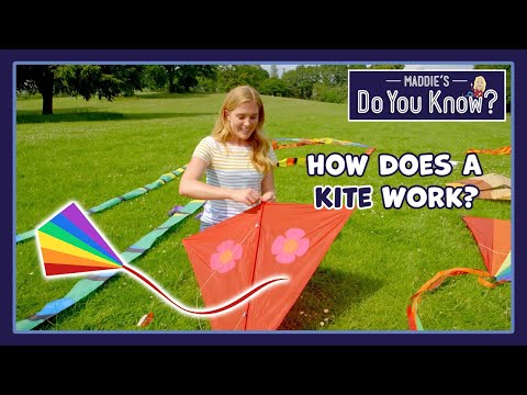 How does a Kite work? 🪁 Maddie's Do You Know 👩
