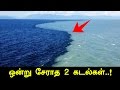 Gulf Of Alaska - Reason Behind Why Two Oceans Doesn't Merge