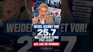 Weidel rechnet vor! #afd #Reden #weidel