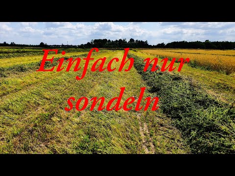 Einfach nur sondeln/sondeln mit dem XP ORX