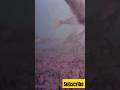 Video Thumbnail for Underwater  Camera #shorts #perch #fishing