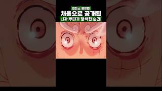 원피스) 처음으로 공개된 니카 루피가 정색한 순간! #onepiece #원피스
