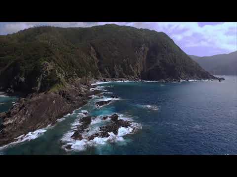 奄美大島 篠穂の滝