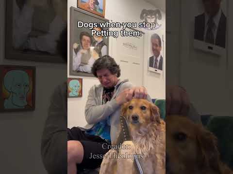 CUANDO TU PERRO QUIERE CARICIAS #doblaje #humor