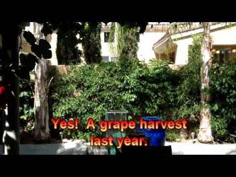 Lovely La Quinta California Home For Sale by Judy and Nelson Horn, Realtors