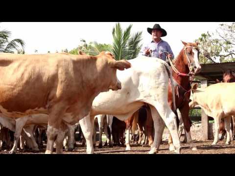 Soy Campesino - Milciades Sanabria (Video Oficial) 2018