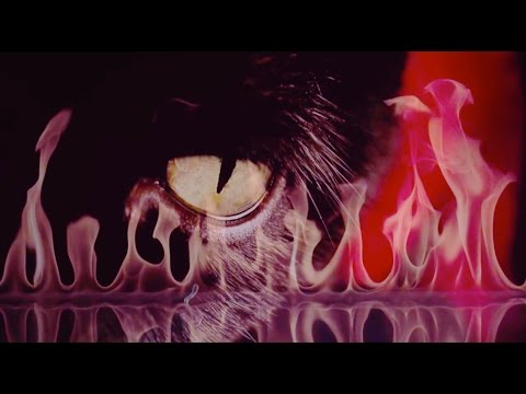 JOHNNY JEWEL "WINDSWEPT" (Official Video)