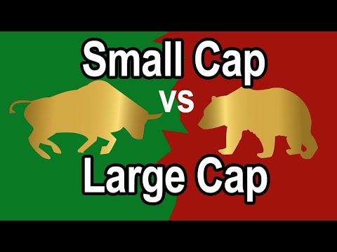 Small Cap Stocks vs Large Cap Stocks - Which are Better Investments
