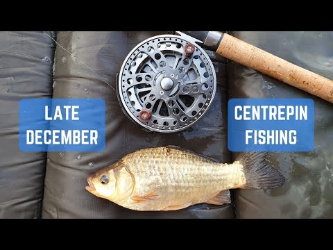 December Fishing on the Centrepin / Stillwater coarse Fishing / Advanta Discovery RVS Centrepin Reel