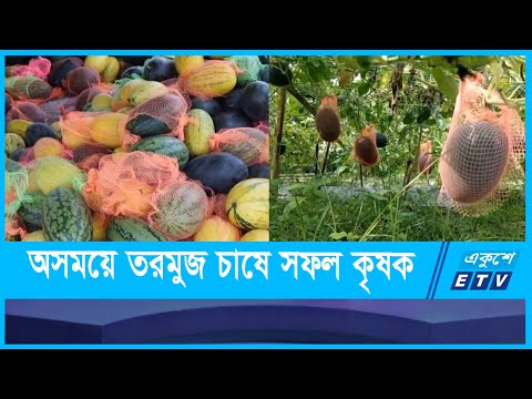 অসময়ে তরমুজ চাষে সফল তিন জেলার কৃষক